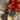 Tropical Blossom Set